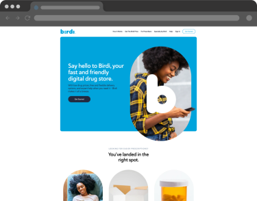 Birdi website in browser window